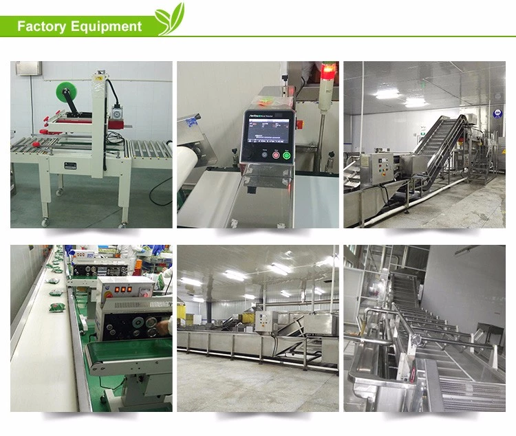 product-1-1 Manufacturer wholesale cheap iqf frozen fresh kiwi fruit