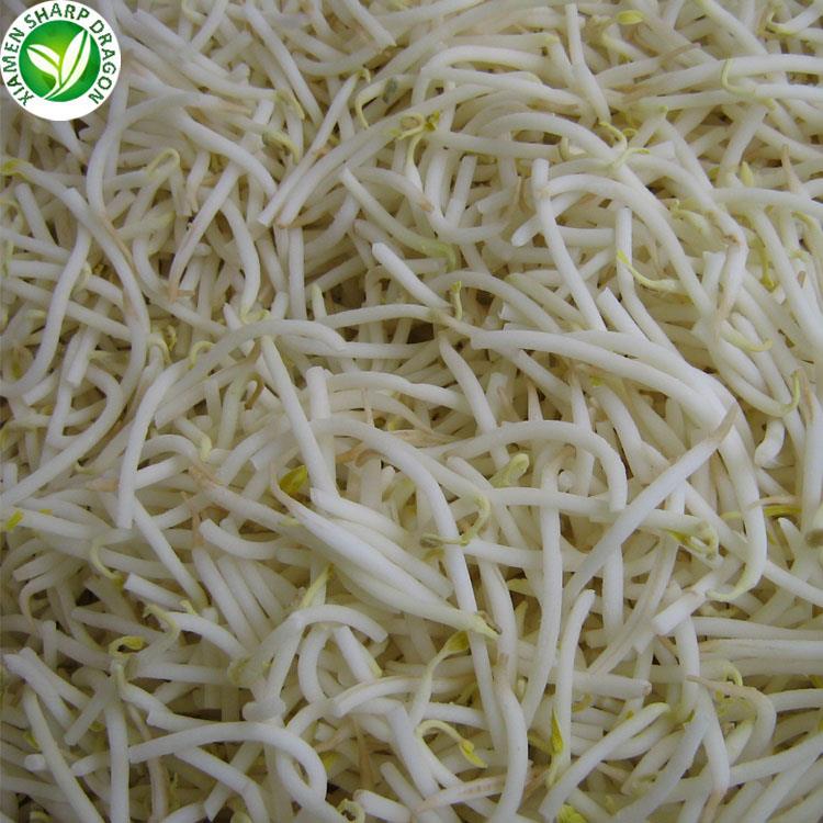 bean sprouts wholesale price bean sprouts wholesale price