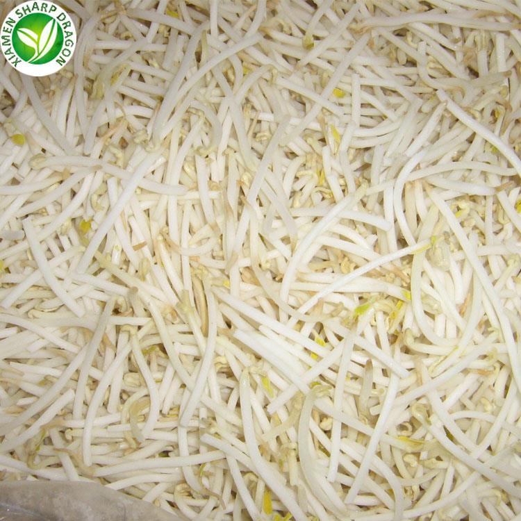 Buy frozen mung bean sprouts online Buy frozen mung bean sprouts online