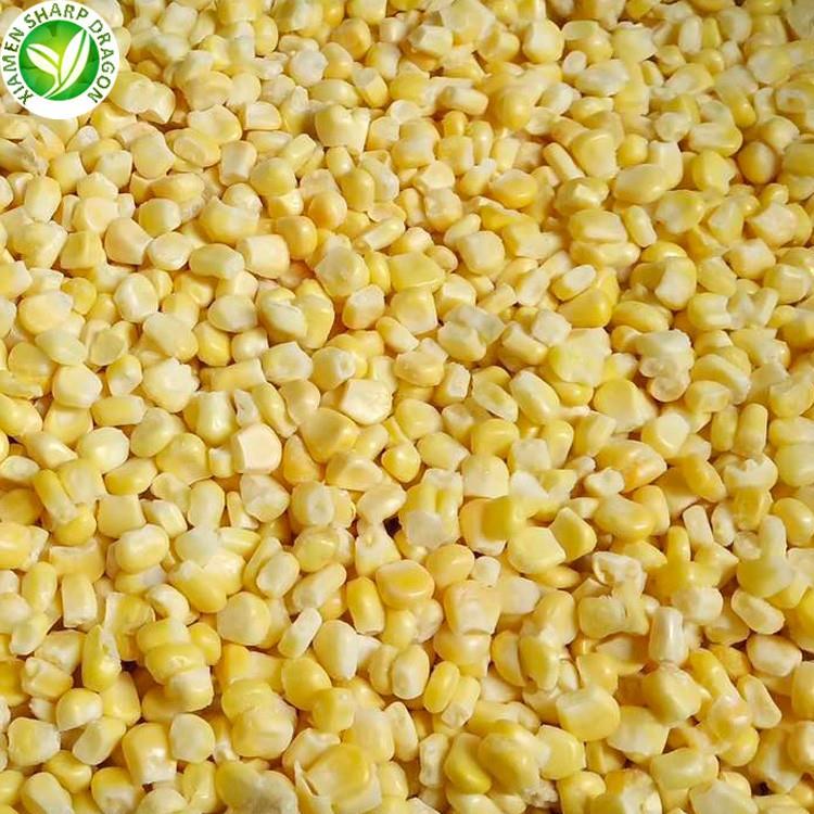 Wholesale best frozen corn Wholesale best frozen corn