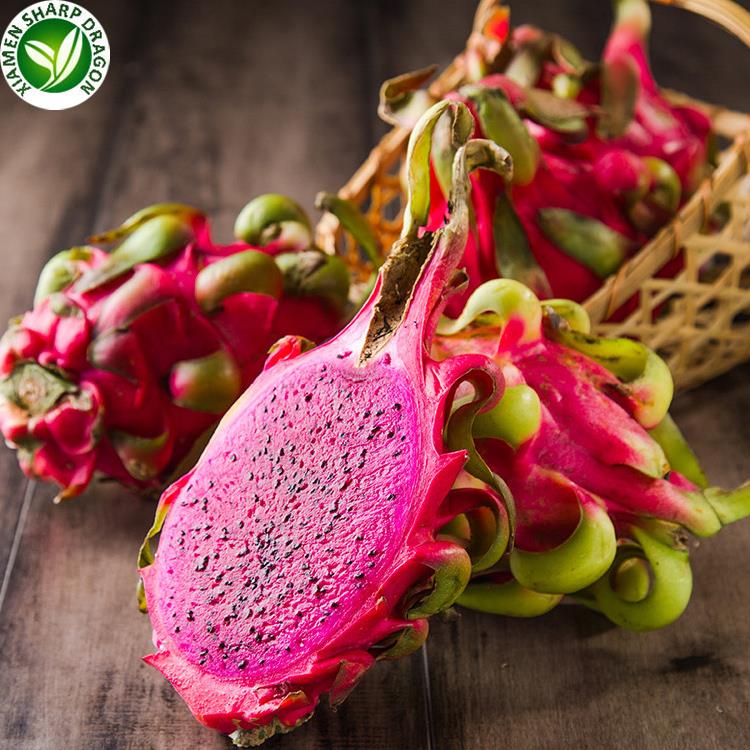 ovocie pitaya mrazené pitaya fruit frozen