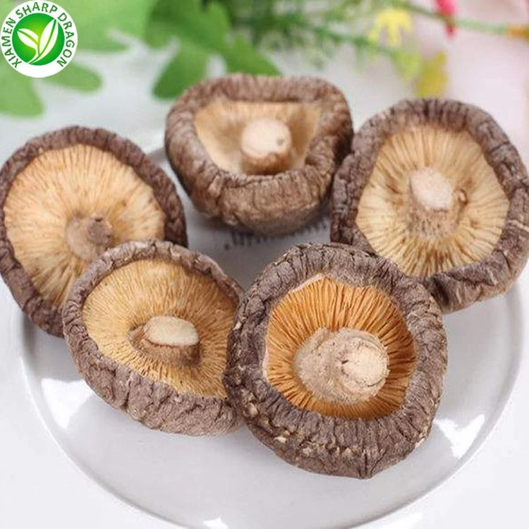 price of dried shiitake mushrooms price of dried shiitake mushrooms