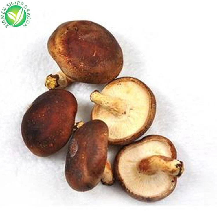 Hot Selling Best Price Frozen Export Shiitake Mushroom Hot Selling Best Price Frozen Export Shiitake Mushroom