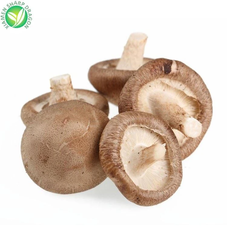 frozen shiitake mushroom frozen shiitake mushroom