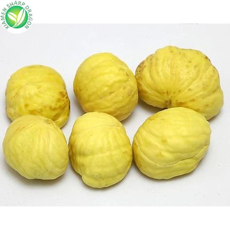 chinese chestnut