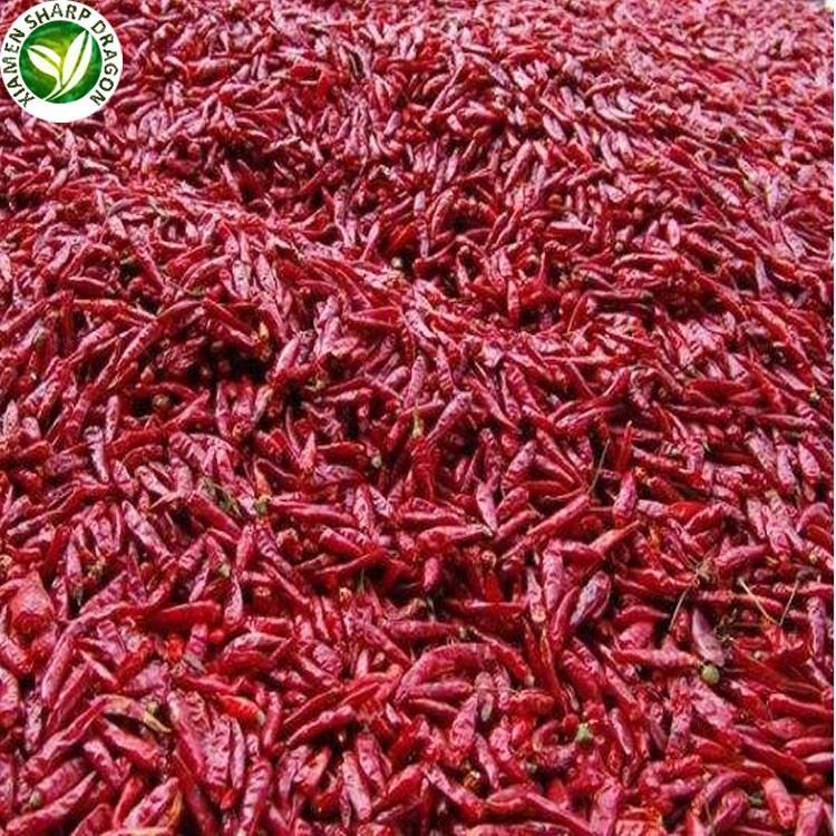 hot chili peppers in bulk packing for foodservice buyers