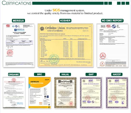 Frozen Red Hot Chili Peppers ISO certificate reference Frozen Red Hot Chili Peppers ISO certificate reference