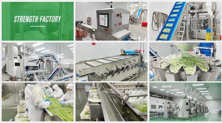 product-750-416 product-750-416