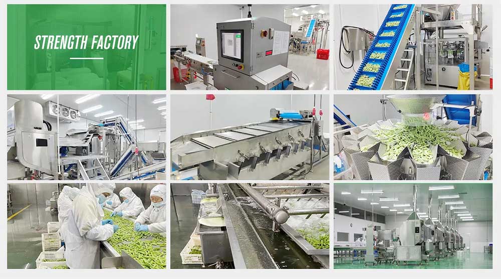 Frozen Seafood Factory Support Frozen seafood factory support for IQF squid rings export orders