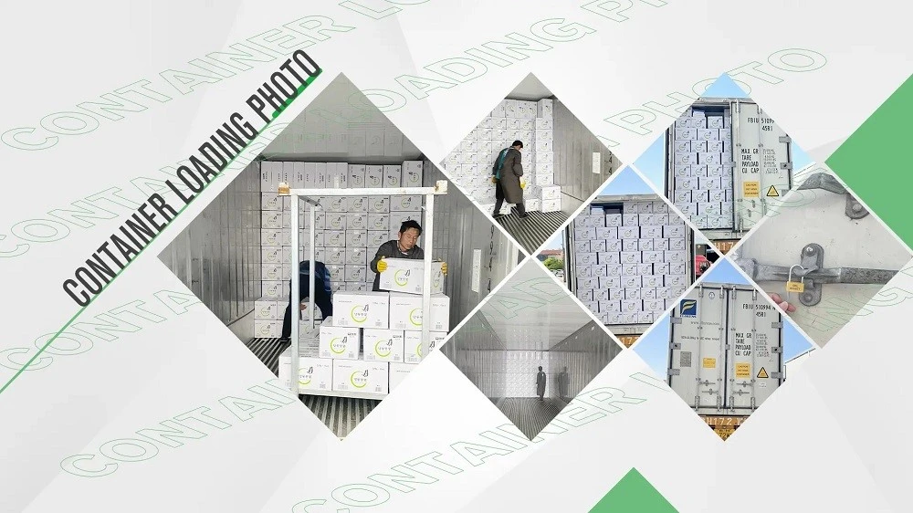 Frozen Seafood Export Supply Capability XMSDfood frozen seafood production and export supply capability