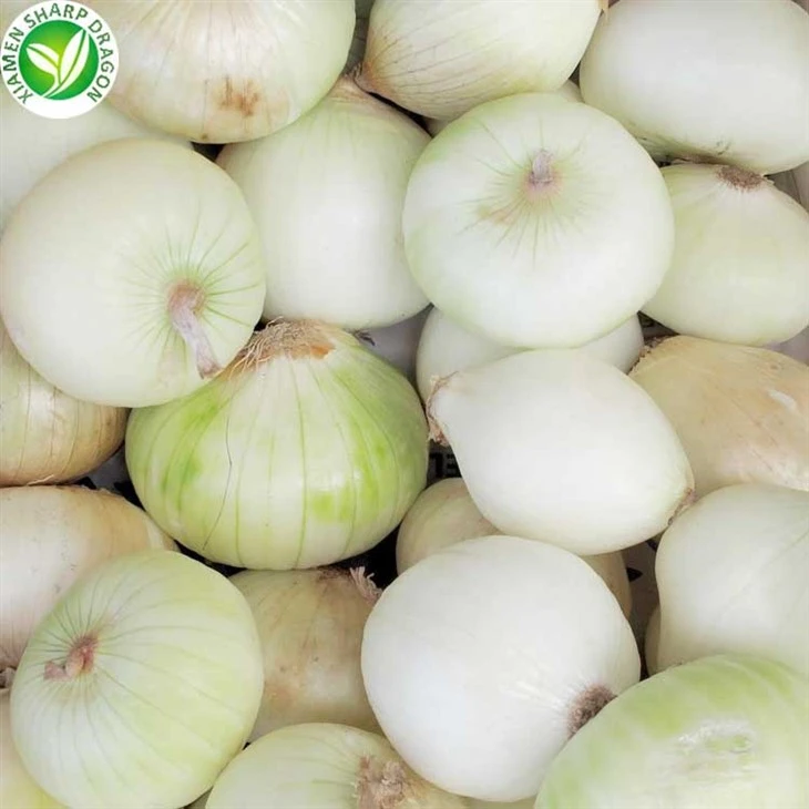 Frozen Onion