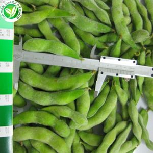 Predám mrazené sójové bôby Edamame