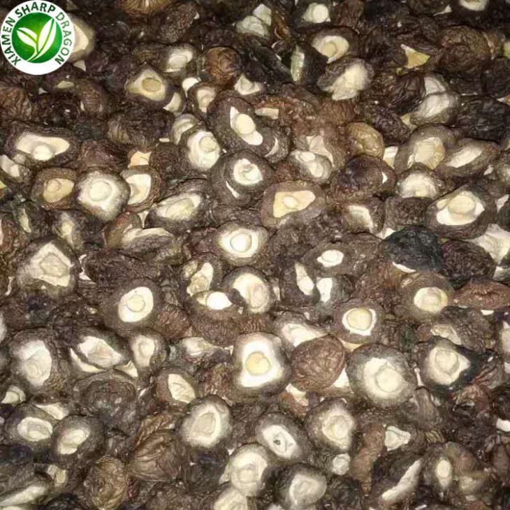 Chinese Mushrooms