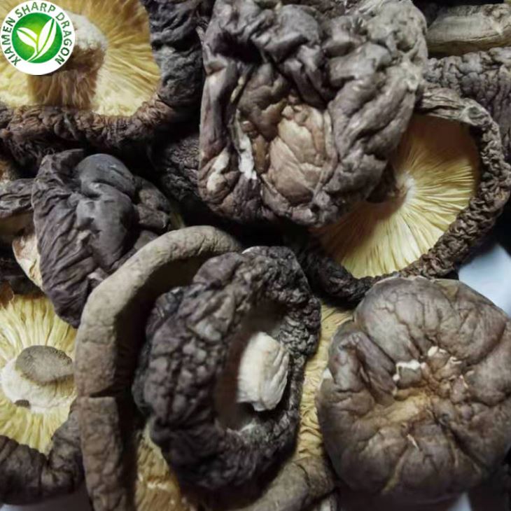 Chinese Mushrooms