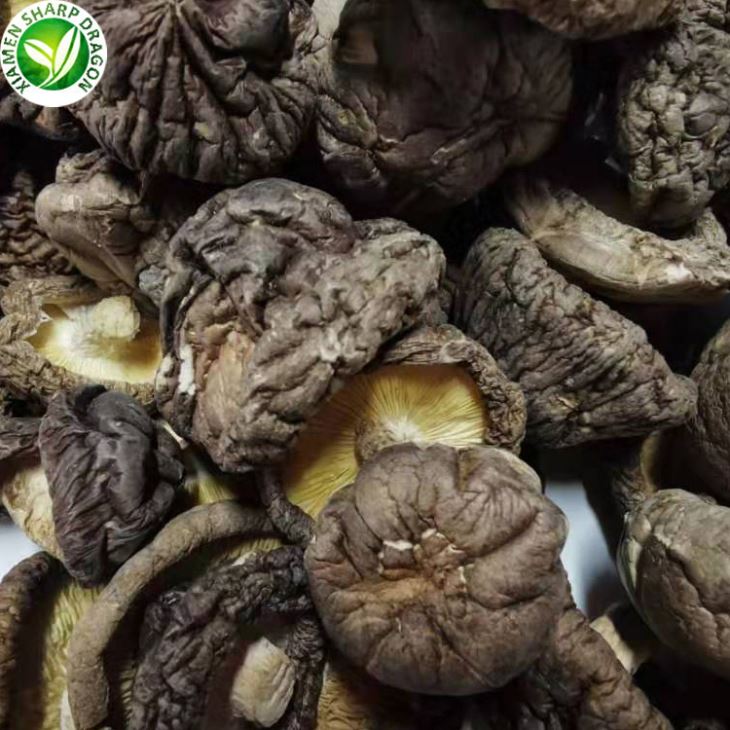 Chinese Mushrooms