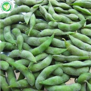 Edamame Harvest