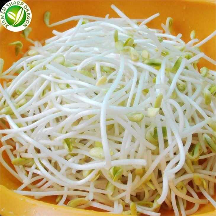 Kúpiť Frozen Mung Bean Klíčky online