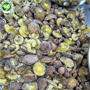 Hubová cena Matsutake