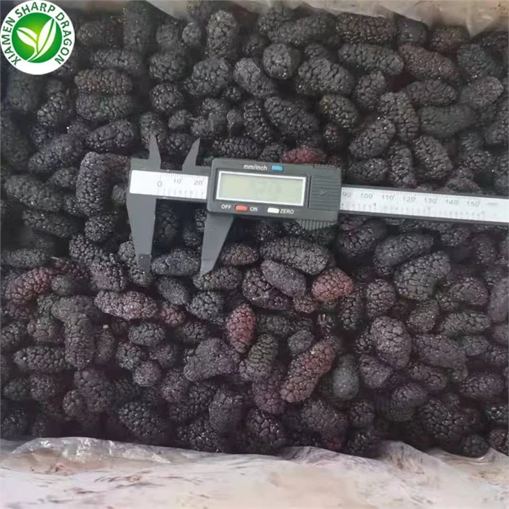 Black Mulberry Fruit Price
