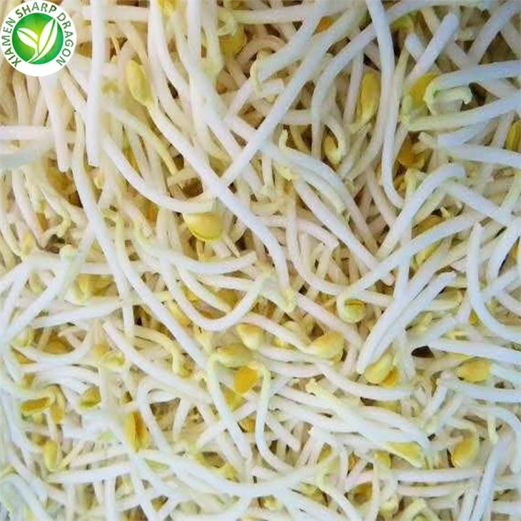 Buy Frozen Mung Bean Sprouts Online
