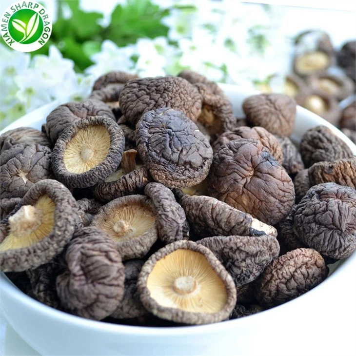 Dry Mushroom Buyers