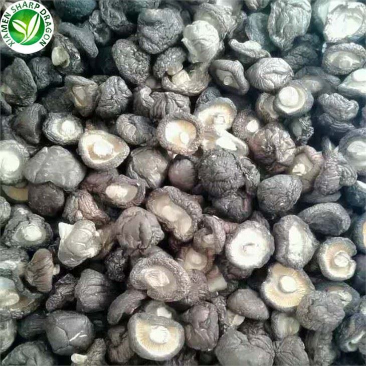 Dry Mushroom Buyers