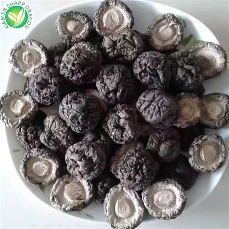 Dry Mushrooms Naturally
