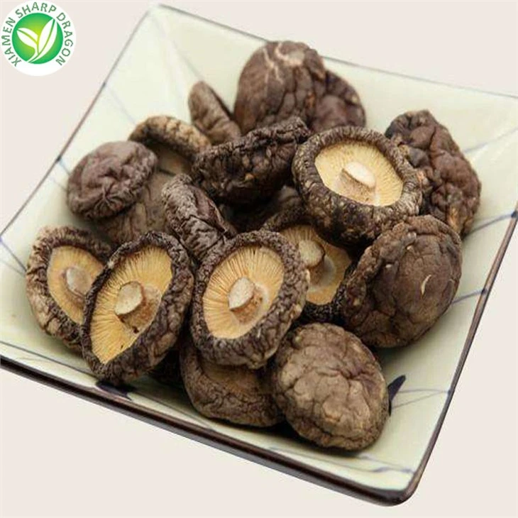 Dry Mushrooms Naturally