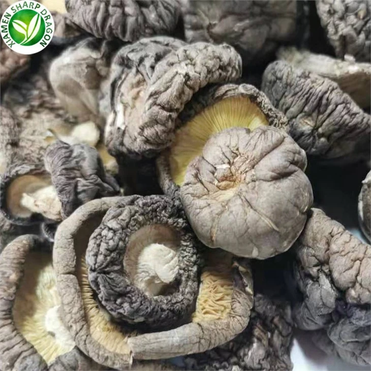 Dry Mushrooms Naturally