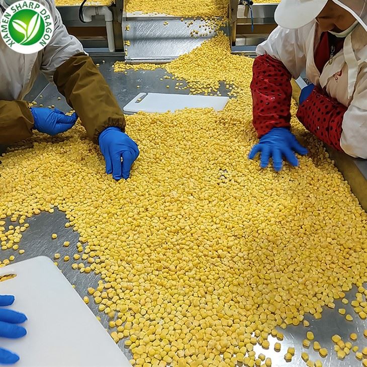 Frozen Corn Chinese Rare Seed