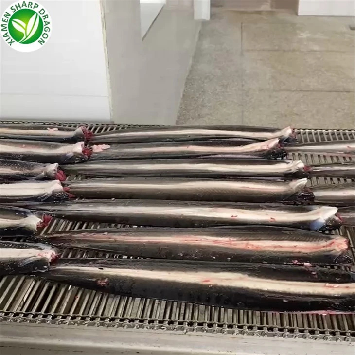 Frozen Products Smoked Roasted Eel Fish