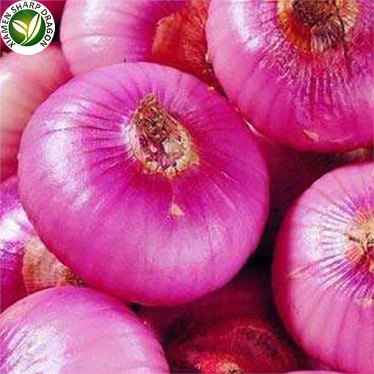 Organic Onion Red 1 Kg